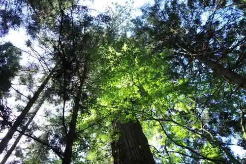 菅船神社の自然