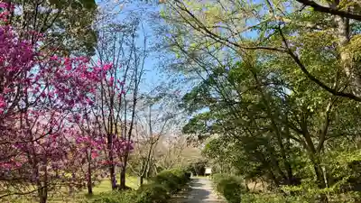 吉備津岡辛木神社(岡山県)