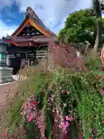 如宝寺(福島県)