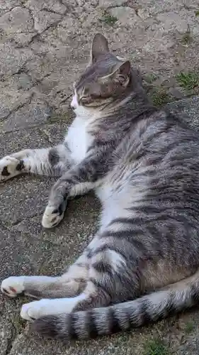 玉野御嶽神社の動物