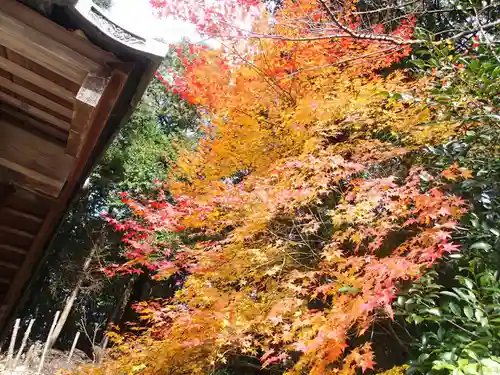 石座神社の自然