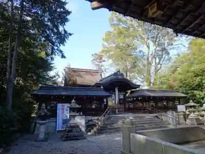 下新川神社(滋賀県)