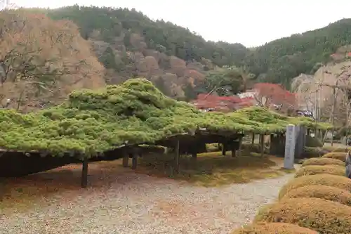 善峯寺の庭園