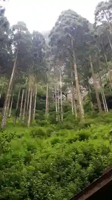 秋元神社の周辺
