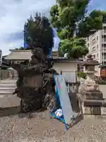 お三の宮日枝神社(神奈川県)