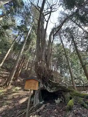 飛驒一宮水無神社(岐阜県)
