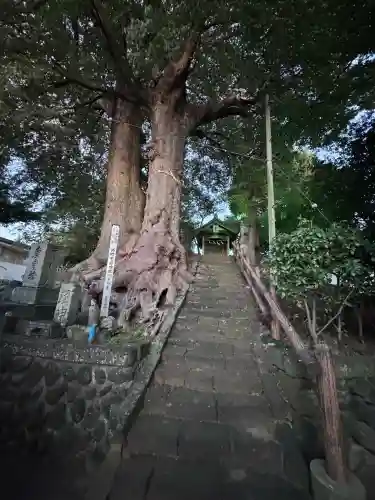 愛宕神社の{uncategorized: "未分類", other: "その他", undefined: "問題あり", building: "その他建物", grave: "お墓", sacred_gate: "鳥居", guardian: "狛犬", statue: "像", buddha: "仏像", history: "歴史", nature: "自然", garden: "庭園", animal: "動物", pagoda: "塔", temizu: "手水舎", mountain_gate: "山門・神門", sanctuary: "本殿・本堂", subordinate: "末社・摂社", art: "芸術", scenery: "景色", jizo: "地蔵", ema: "絵馬", goshuin: "御朱印", omikuji: "おみくじ", items: "授与品その他", amulet: "お守り", goshuincho: "御朱印帳", eats: "食事", festival: "お祭り", votive_dance: "神楽", shichigosan: "七五三参", wedding: "結婚式", experience: "体験その他", initially: "初詣", around: "周辺", anti_infection: "感染症対策"}