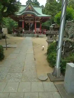 柏諏訪神社(千葉県)