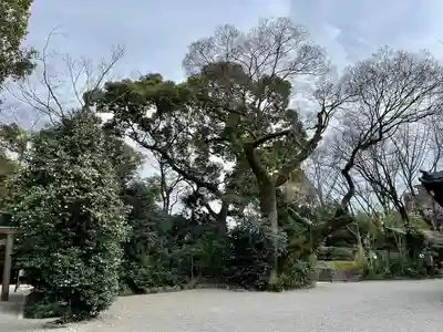 上知我麻神社(熱田神宮摂社)(愛知県)