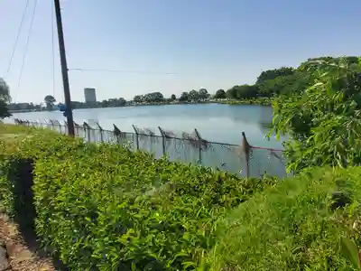 近藤沼弁財大善(群馬県)