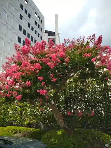 岡山神社の自然