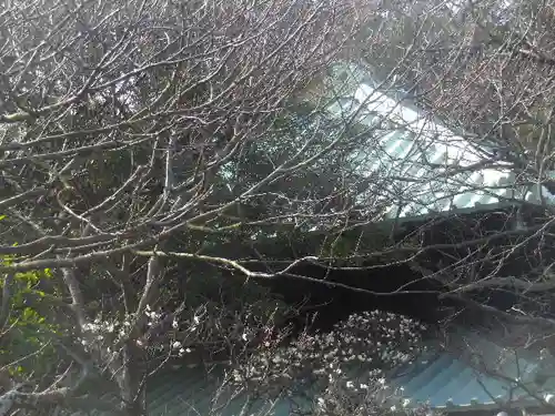 英勝寺のその他建物