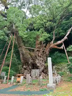 葛見神社(静岡県)
