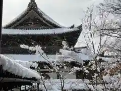 興聖寺の建物その他