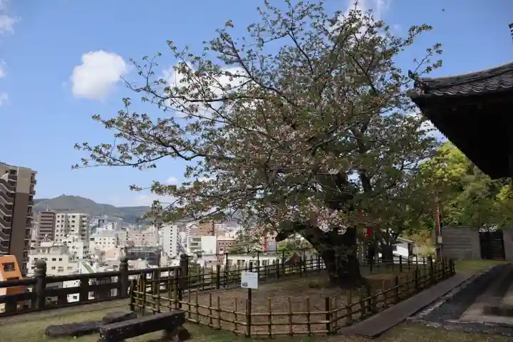 清水寺(長崎県)