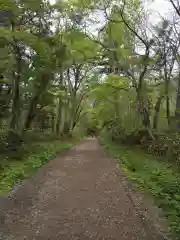 戸隠神社奥社(長野県)