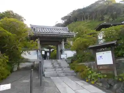 安養院　(田代寺）の山門・神門