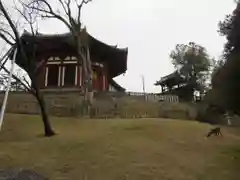 興福寺の本殿