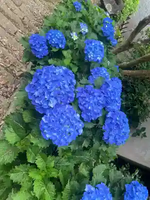 三ヶ根観音（太山寺）(愛知県)