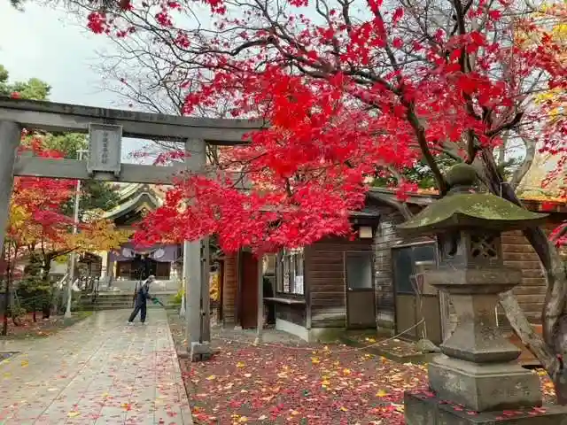 彌彦神社 (伊夜日子神社)の自然