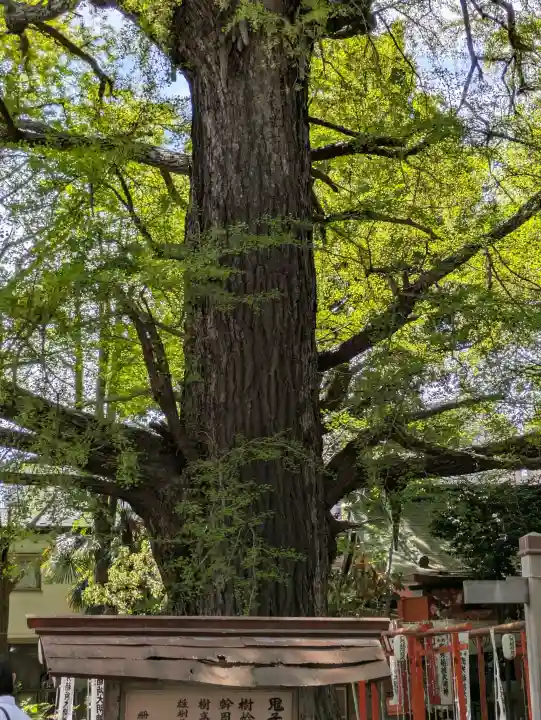 武芳稲荷神社の{uncategorized: "未分類", other: "その他", undefined: "問題あり", building: "その他建物", grave: "お墓", sacred_gate: "鳥居", guardian: "狛犬", statue: "像", buddha: "仏像", history: "歴史", nature: "自然", garden: "庭園", animal: "動物", pagoda: "塔", temizu: "手水舎", mountain_gate: "山門・神門", sanctuary: "本殿・本堂", subordinate: "末社・摂社", art: "芸術", scenery: "景色", jizo: "地蔵", ema: "絵馬", goshuin: "御朱印", omikuji: "おみくじ", items: "授与品その他", amulet: "お守り", goshuincho: "御朱印帳", eats: "食事", festival: "お祭り", votive_dance: "神楽", shichigosan: "七五三参", wedding: "結婚式", experience: "体験その他", initially: "初詣", around: "周辺", anti_infection: "感染症対策"}