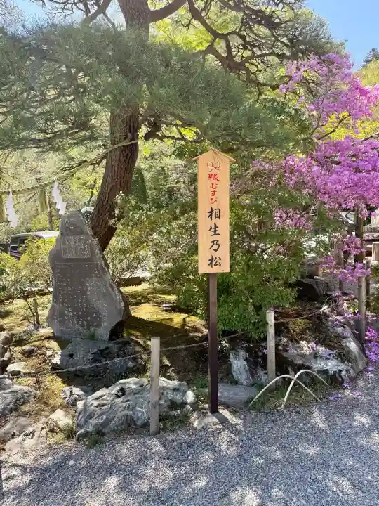 宝登山神社の{uncategorized: "未分類", other: "その他", undefined: "問題あり", building: "その他建物", grave: "お墓", sacred_gate: "鳥居", guardian: "狛犬", statue: "像", buddha: "仏像", history: "歴史", nature: "自然", garden: "庭園", animal: "動物", pagoda: "塔", temizu: "手水舎", mountain_gate: "山門・神門", sanctuary: "本殿・本堂", subordinate: "末社・摂社", art: "芸術", scenery: "景色", jizo: "地蔵", ema: "絵馬", goshuin: "御朱印", omikuji: "おみくじ", items: "授与品その他", amulet: "お守り", goshuincho: "御朱印帳", eats: "食事", festival: "お祭り", votive_dance: "神楽", shichigosan: "七五三参", wedding: "結婚式", experience: "体験その他", initially: "初詣", around: "周辺", anti_infection: "感染症対策"}