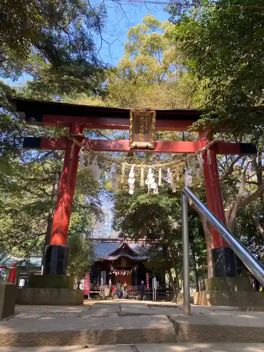 氷川女體神社の鳥居