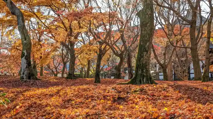 東福禅寺(東福寺)(京都府)
