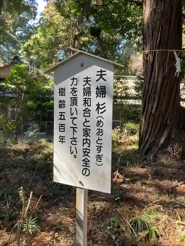側高神社(千葉県)