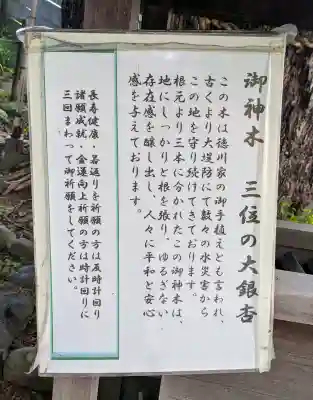 堤治神社の{uncategorized: "未分類", other: "その他", undefined: "問題あり", building: "その他建物", grave: "お墓", sacred_gate: "鳥居", guardian: "狛犬", statue: "像", buddha: "仏像", history: "歴史", nature: "自然", garden: "庭園", animal: "動物", pagoda: "塔", temizu: "手水舎", mountain_gate: "山門・神門", sanctuary: "本殿・本堂", subordinate: "末社・摂社", art: "芸術", scenery: "景色", jizo: "地蔵", ema: "絵馬", goshuin: "御朱印", omikuji: "おみくじ", items: "授与品その他", amulet: "お守り", goshuincho: "御朱印帳", eats: "食事", festival: "お祭り", votive_dance: "神楽", shichigosan: "七五三参", wedding: "結婚式", experience: "体験その他", initially: "初詣", around: "周辺", anti_infection: "感染症対策"}
