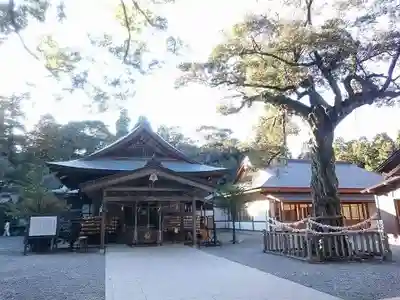 井伊谷宮の本殿・本堂