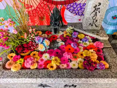 札幌諏訪神社の手水舎