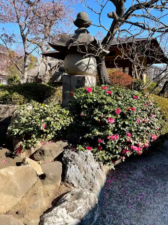 清光院(東京都)