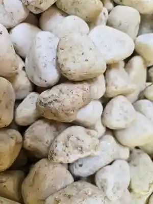 事任八幡宮(静岡県)