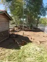 長安寺の動物