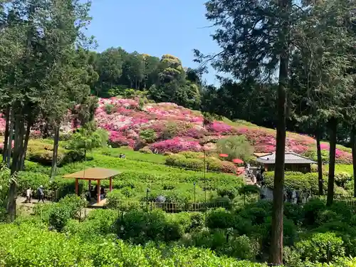 三室戸寺の庭園