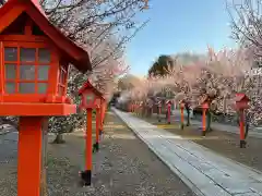 朝日森天満宮(栃木県)