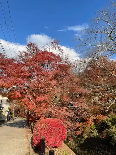 法然院(京都府)