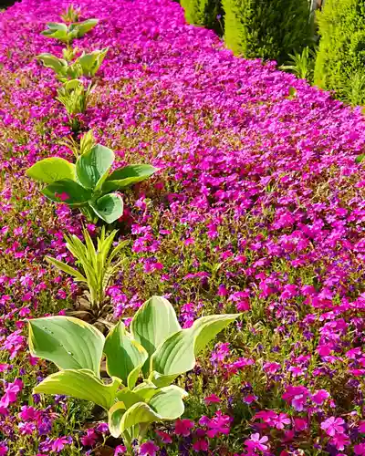 寿量山　速成寺の自然