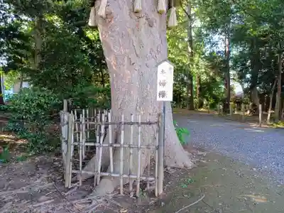長宮氷川神社(埼玉県)