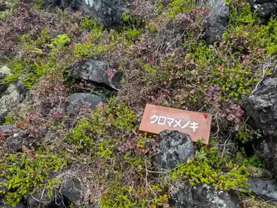 横岳神社(長野県)