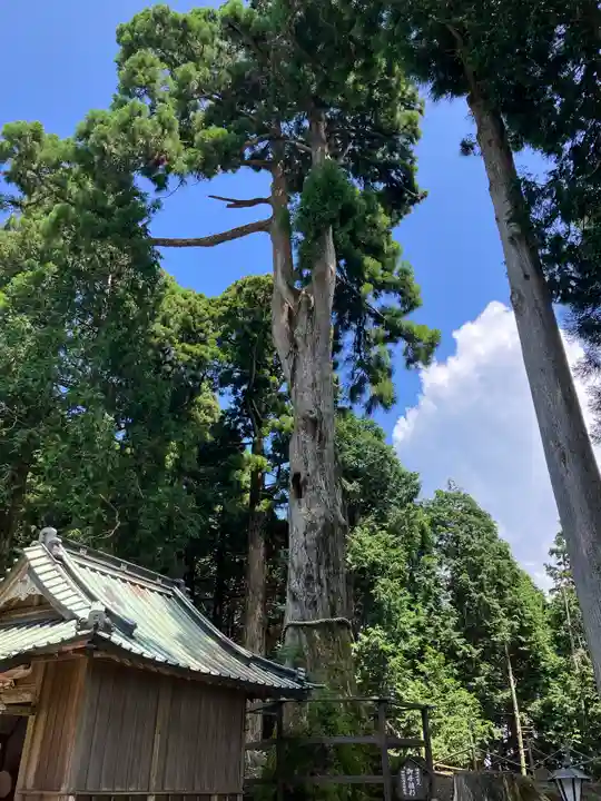 身延山奥之院思親閣(山梨県)