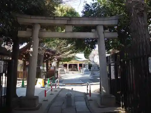 荻窪白山神社の鳥居