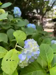 前原御嶽神社(千葉県)