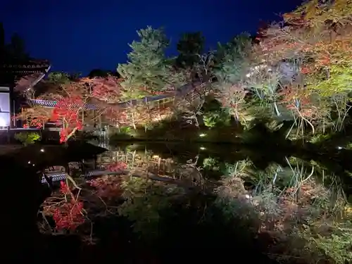 高台寺（高台寿聖禅寺・高臺寺）の庭園