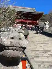 鶴岡八幡宮の狛犬