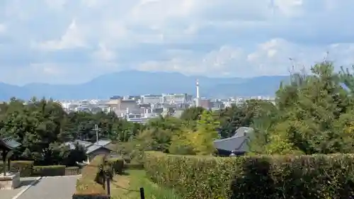 仲恭天皇　九條陵(京都府)