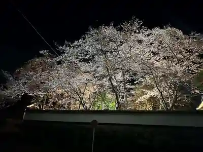 木舟山　順教寺(広島県)