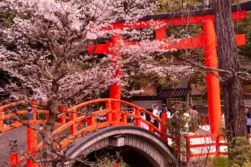 賀茂御祖神社（下鴨神社）(京都府)
