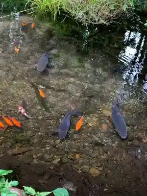 鼬幣稲荷神社(岩手県)